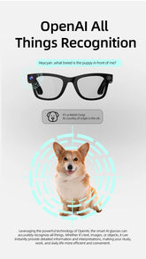 Xiaomi  HD Camera AI Smart Glasses Call Play Video Audio Recording Noise Reduction Headset Touch Bluetooth Sunglasses 2025